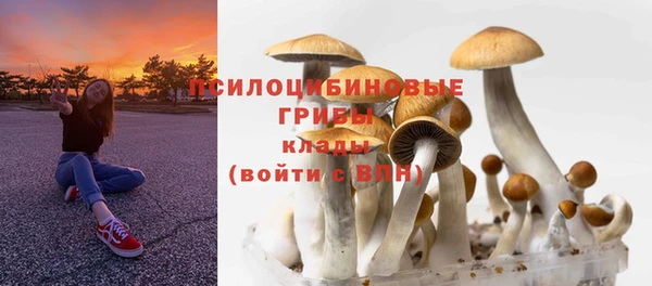 PSILOCYBIN Алексеевка