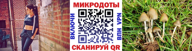 Псилоцибиновые грибы MAGIC MUSHROOMS сайты даркнета официальный сайт Хвалынск